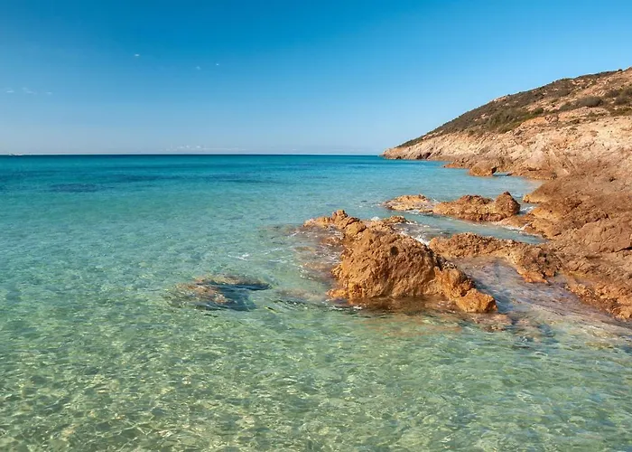 Daire Bilo 4 Premium *